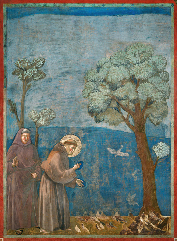 Saint Francis preaching to the birds — fresco by Giotto